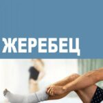 Жеребец  3 Сезон 10 Серия Постер